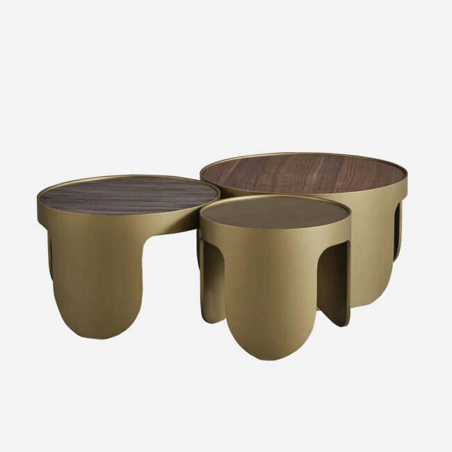 Eliza Coffee Table Set - Image 2
