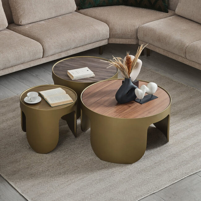 Eliza Coffee Table Set - Image 4
