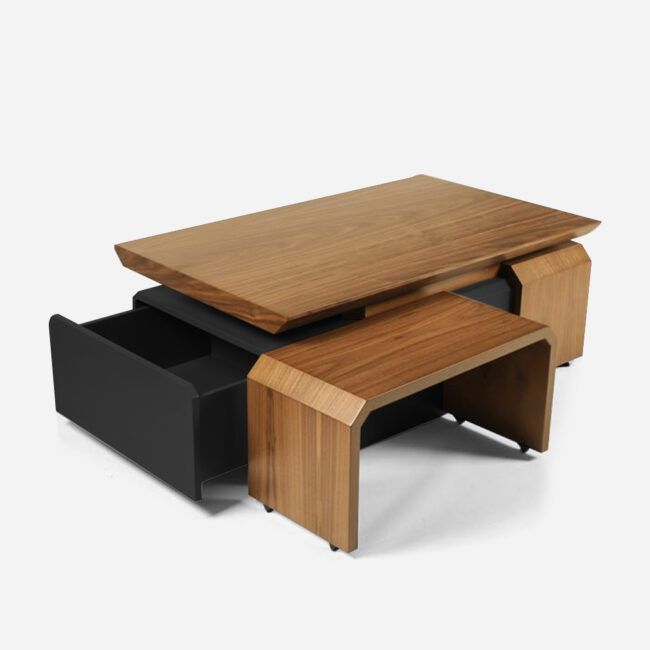 Kanzi Coffee Table Set - Image 2