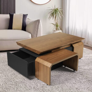 Kanzi Coffee Table Set
