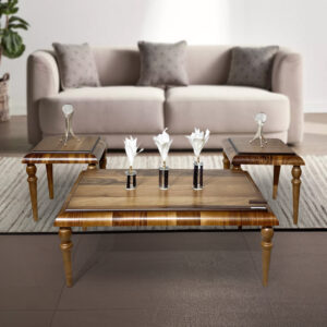 Luxury Coffee Table Set