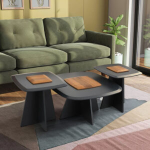 Mekskano Coffee Table Set