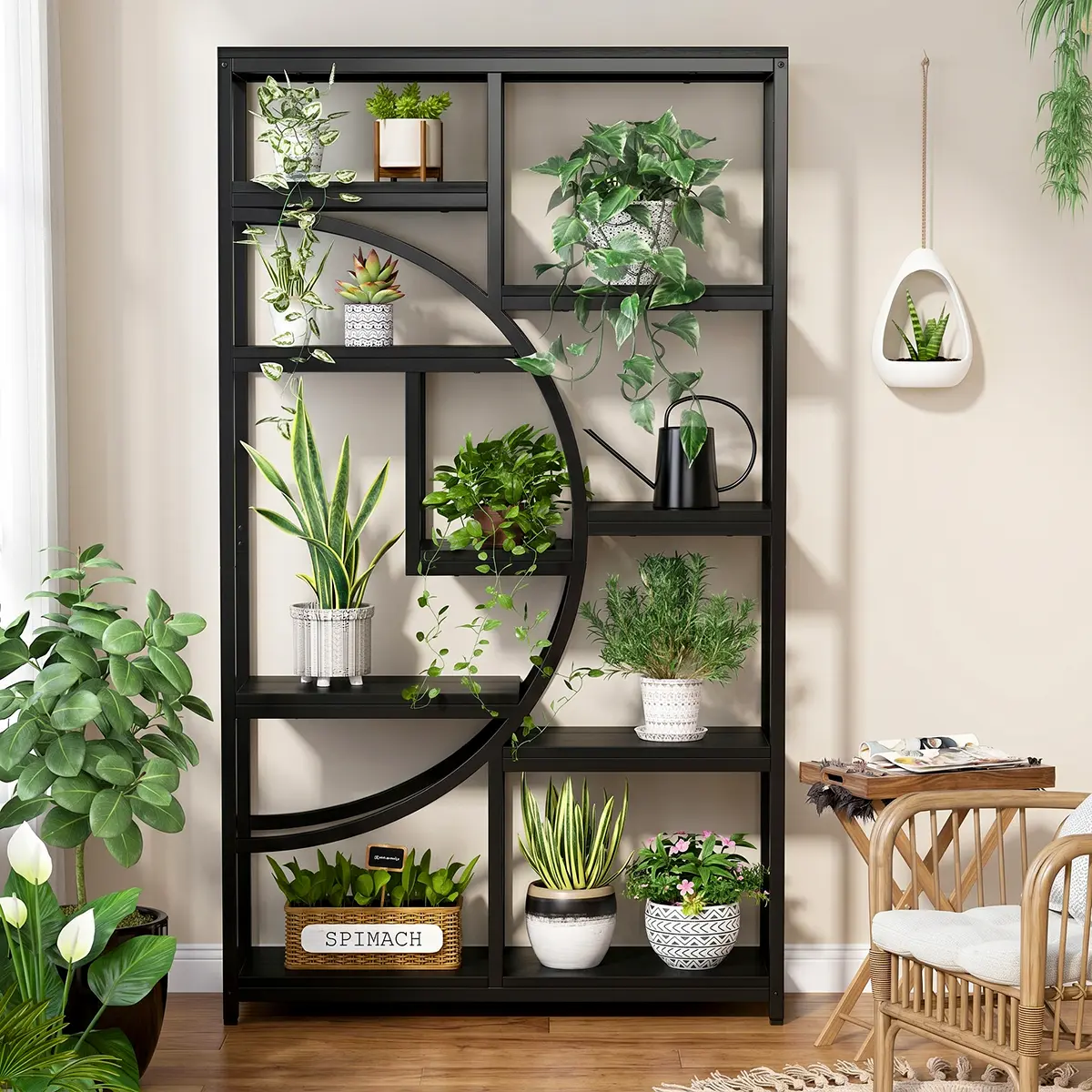Tall black display shelf with arc design and multiple open shelves, front view