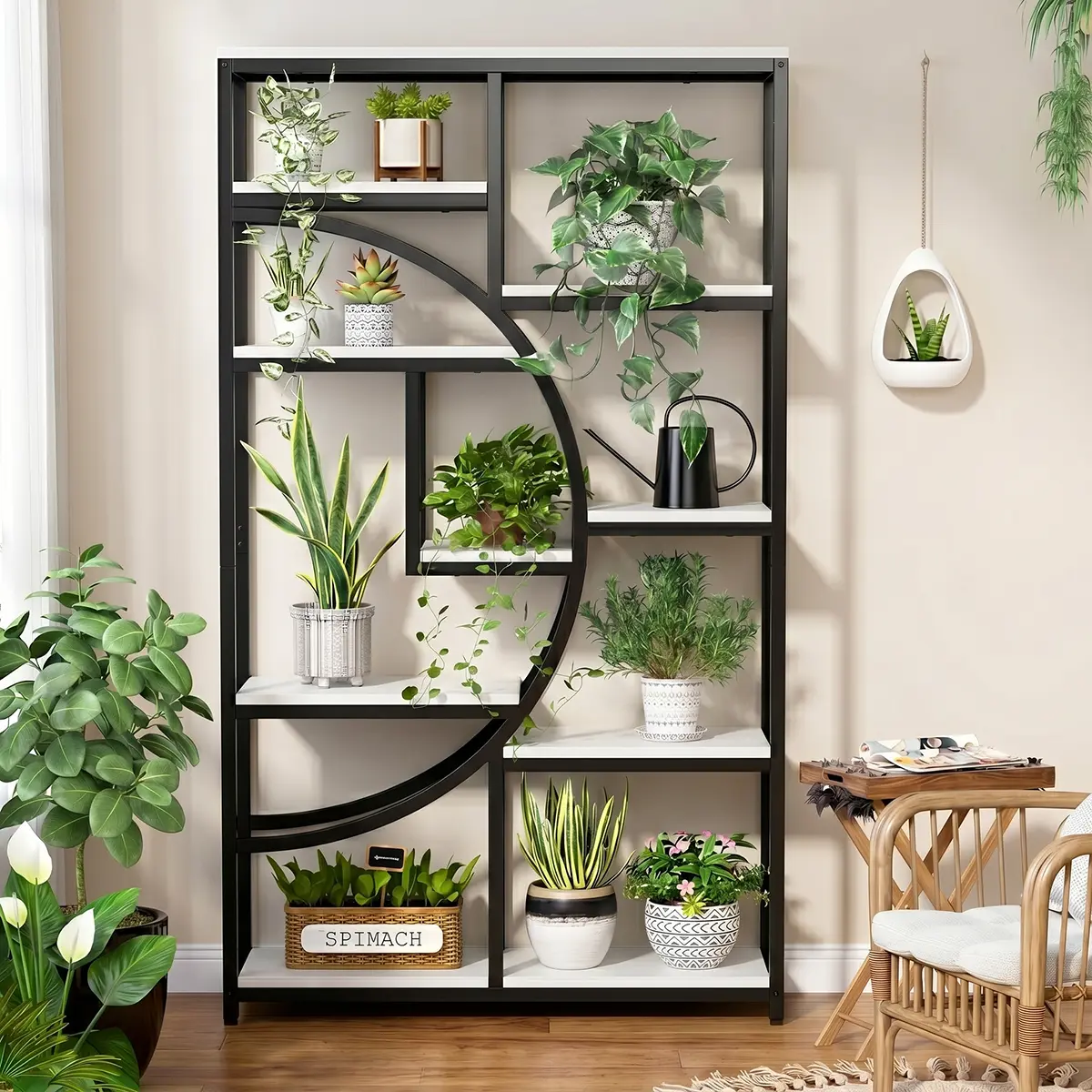 Tall display shelf with black frame, arc design and white shelves, front view